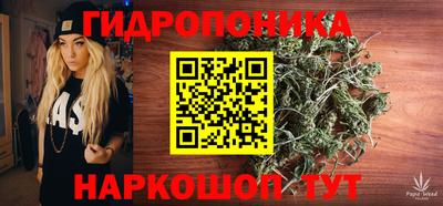 тгк Кандалакша