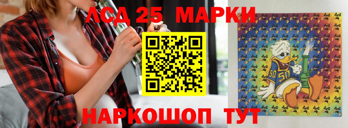 Курчалой  LSD-25 экстази ecstasy  Вход с VPN  ОМГ ОМГ маркетплейс  LSD-25 экстази кислота 