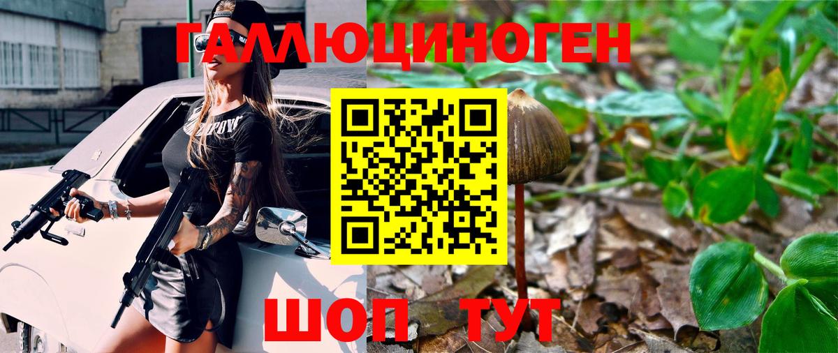 Псилоцибиновые грибы GOLDEN TEACHER Курчалой